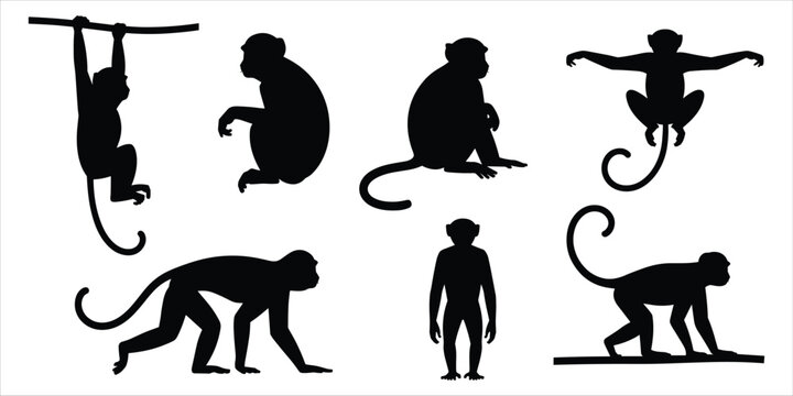 A set of seven black silhouette of monkeys in different poses, including hanging, sitting, and walking, presented on a white