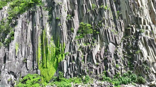 Aerial View of Ivy-Covered Basalt Close-Up at Zaimokuiwa Rock Park, Yamagata, Japan