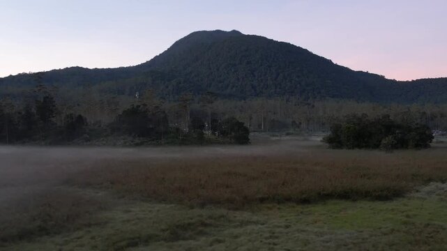 Cinematic aerial drone shot of low-lying morning mist rolling over a valley field with a lush forested mountain backdrop at sunrise.