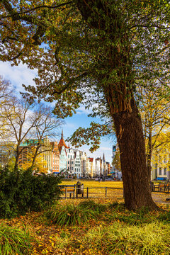 Blick &uuml;ber den Universit&auml;tsplatz auf die Kr&ouml;peliner Stra&szlig;e in der Hansestadt Rostock im Herbst