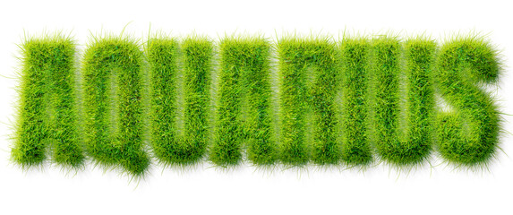 Aquarius word rendered in realistic green grass texture isolated on a transparent background © Mahmud