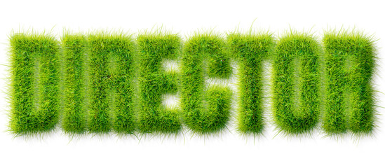 Director word rendered in a realistic green grass texture isolated on a transparent background © Mahmud