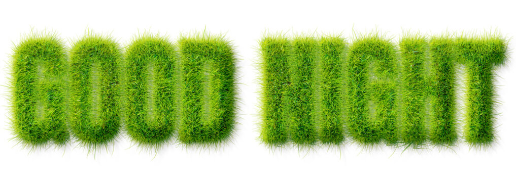 Good Night text rendered in a realistic green grass texture isolated on transparent background