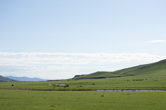Wide steppe landscape with gers and a grazing flock, Orkhon Valley, Mongolia