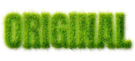 Original word rendered in a realistic green grass texture typography isolated on transparent © Mahmud