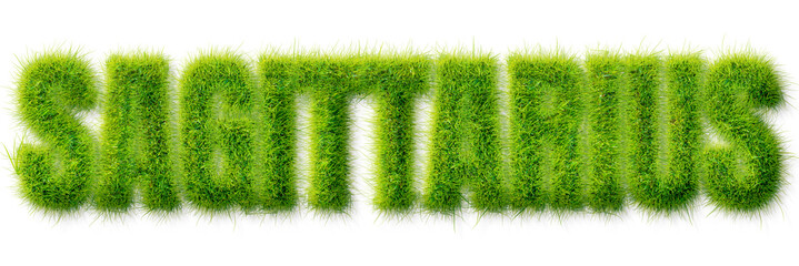Sagittarius word rendered in realistic green grass texture isolated on transparent background © Mahmud
