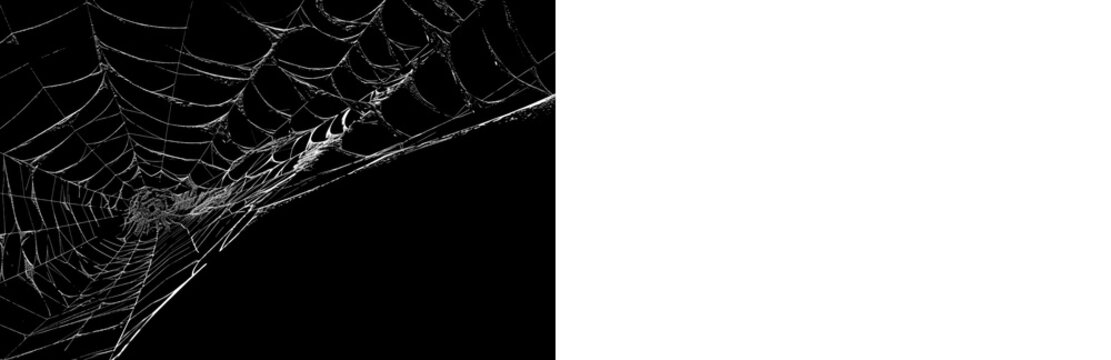 Spider web texture with black preview and transparent PNG version for creepy photo editing, horror design and spooky Halloween graphics.
