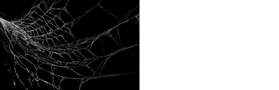Realistic spider web overlay with black preview and transparent PNG version for photo editing, spooky design and Halloween compositions.