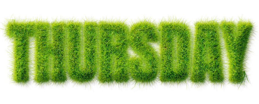 Thursday word rendered in a realistic green grass texture isolated on a transparent background