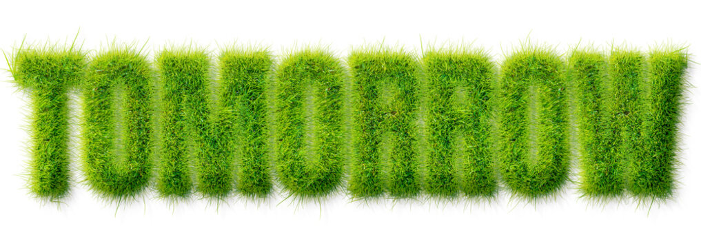 Tomorrow word written in realistic green grass texture isolated on a transparent background
