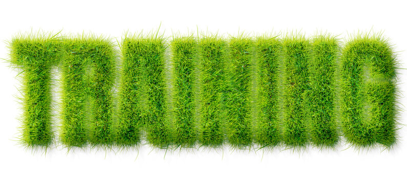Training word rendered in realistic green grass texture isolated on a transparent background
