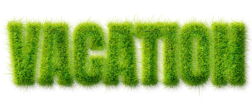 Vacation word rendered in a realistic green grass texture isolated on a transparent background