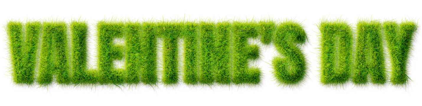 Valentines Day text effect with realistic green grass texture isolated on transparent background