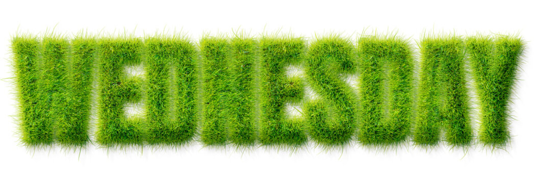 Wednesday word rendered in realistic green grass texture isolated on transparent background