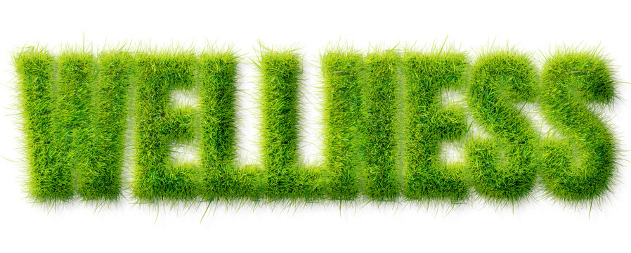 Wellness word rendered in a realistic green grass texture isolated on a transparent background