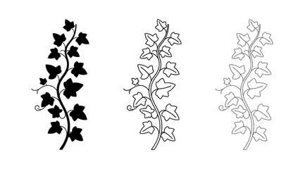 Fototapeta premium Ivy vine leaf icon set isolated on transparent background