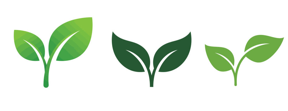 Two leaves icon with green eco logo design, nature organic isolated illustration for vegetarian and vegan product branding.