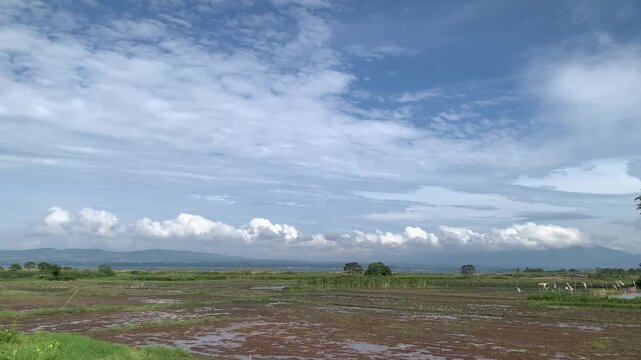 Stock footage panning across wide agricultural fields under a vast bright blue sky with light clouds in a village in Toba Samosir, North Sumatera, Indonesia. Peaceful rural landscape concept.