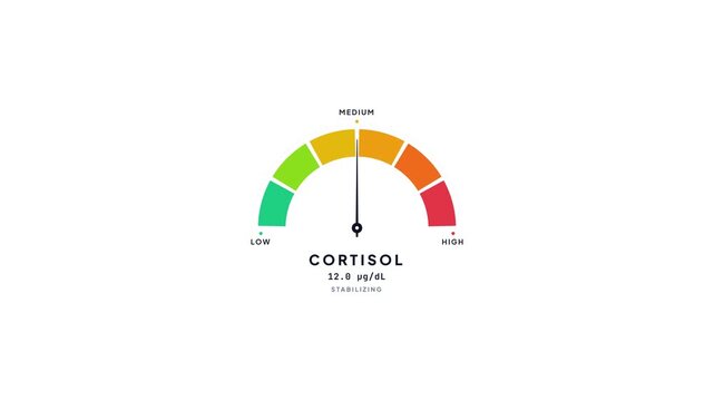 Cortisol Level Speedometer Infographic. 4K Video