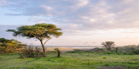 African savanna landscape with hot air balloons, Serengeti © sylvain