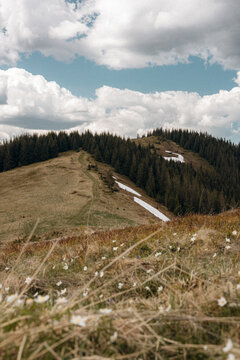 Dirt hiking trail leading up a mountain ridge with lingering patches of spring snow and pine forest.