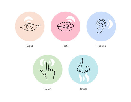 Five human senses icons drawn with a continuous line, each with a colorful background, representing sight, hearing, smell, taste and touch. Minimalist concept of sensory perception, human senses.