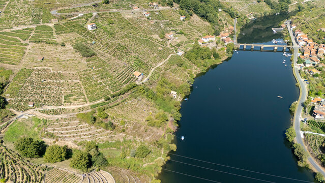 Ribeira Sacra landscape featuring terraced vineyards and Sil river