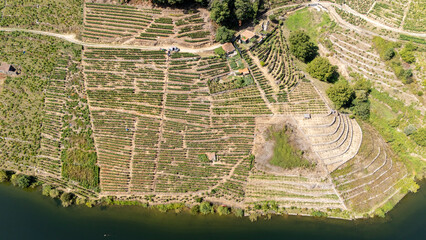 Obraz premium Ribeira Sacra terraced vineyards along Mino river
