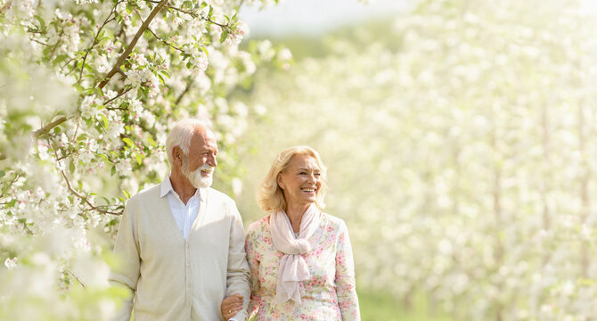 Happy senior couple walking hand in hand with blurred blooming orchard background banner.