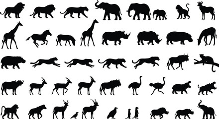 Fototapeta premium Large collection of african savanna animal silhouettes including lions, elephants, giraffes, and rhinos on white background