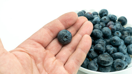 A person holds a single blueberry in their hand, while a bowl filled with many berries stands nearby, all isolated against a white background. This shot draws attention to the individual berry © Сергей Семенов