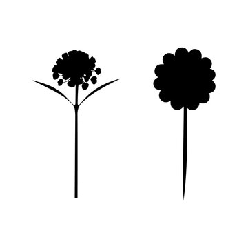 Minimal Flower Silhouette Collection, Simple Botanical Black Vector Illustration