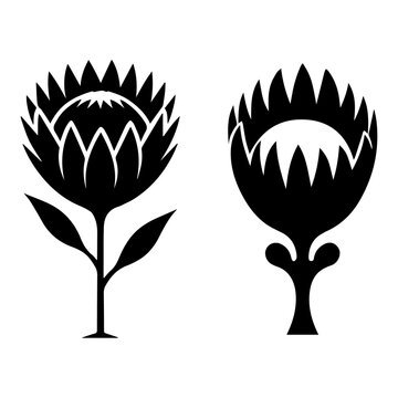 Thistle Flower Silhouette Collection, Spiky Botanical Black Vector Illustration