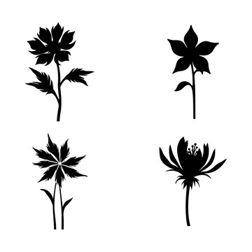 Floral Flower Silhouette Collection, Elegant Botanical Black Vector Illustration