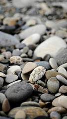 A close-up view of various smooth pebbles and stones on a beach. The stones vary in size and color, creating a natural textured surface. © Sergey
