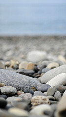 A close-up view of smooth pebbles on a beach. Various sizes and colors of stones are scattered across the shore, with a blurred ocean background. © Sergey