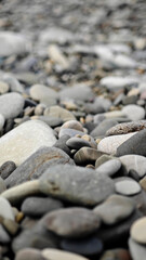 A close-up view of various smooth pebbles and stones on a beach. The stones are in different shades of gray, white, and brown, creating a natural texture. © Sergey
