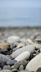 A close-up view of smooth pebbles on a beach. Various colors and sizes of stones are scattered across the shore, with a blurred ocean in the background. © Sergey