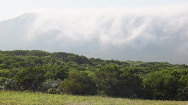 fog wrapping and descending down mountainside, Gansbaai, South Africa