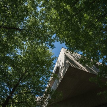 Low angle view of modern concrete architecture framed by lush green tree branches under a clear blue sky, showing the intersection of urban design and nature, concept of biophilic design and urban sus