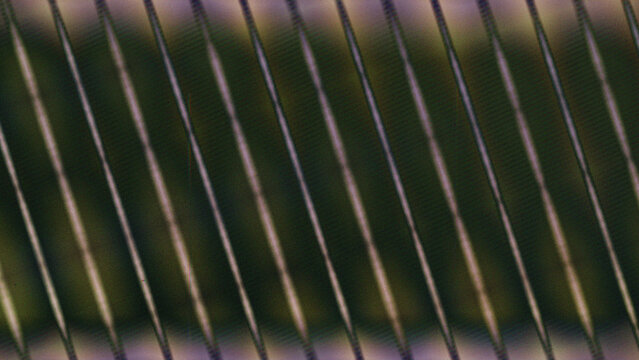 Abstract dark purple and green diagonal lines pattern background with fine scanline grid texture