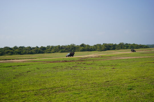 safari with jip