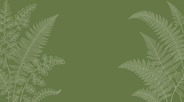 Elegant fern leaf foliage border illustration on sage green background providing natural botanical frame for wedding invitations or organic product packaging designs in flat vector art style