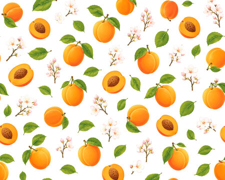 Apricot Illustration Pattern