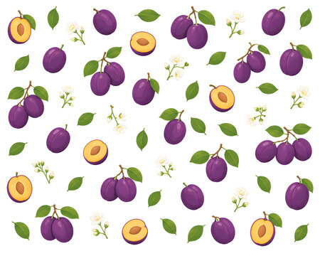 Plum Illustration Pattern