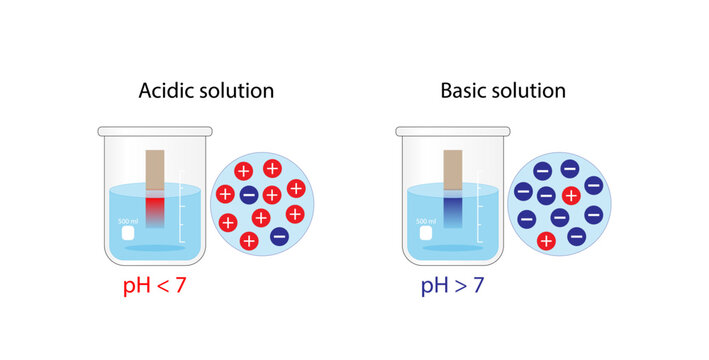 PH paper indicator. Acidic, basic solutions. Color change of indicator paper to red for acids, to blue for bases. Vector scientific design illustration.