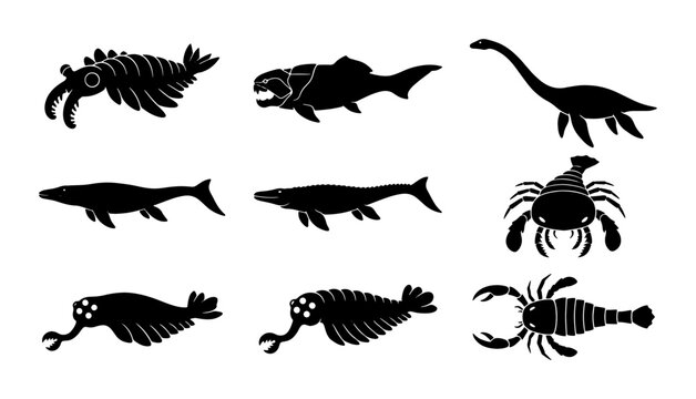 Ancient Marine Life Silhouettes: Prehistoric Sea Creatures, Fossils, Ocean Icons