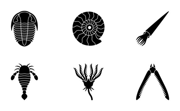 Ancient Fossil Icons Set, Prehistoric Marine Life Silhouettes, Paleozoic Era Creatures Collection