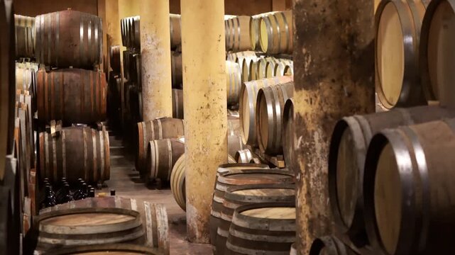 Rows of wooden wine barrels in wine cellar, production of high quality wine by natural fermentation, exclusive wine cellars concept