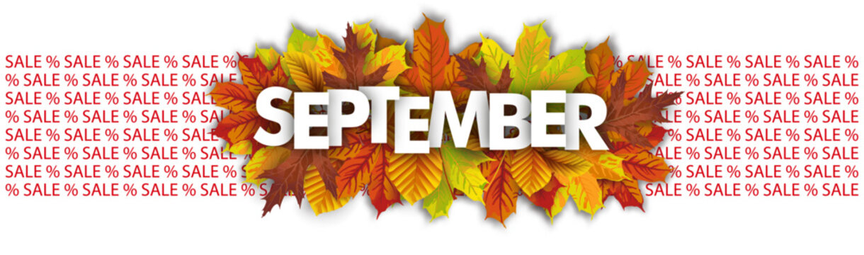 September Sale Autumn Foliage Long Header Transparent